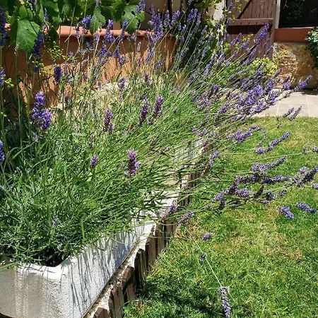 Ferienhaus Casa La Coma *