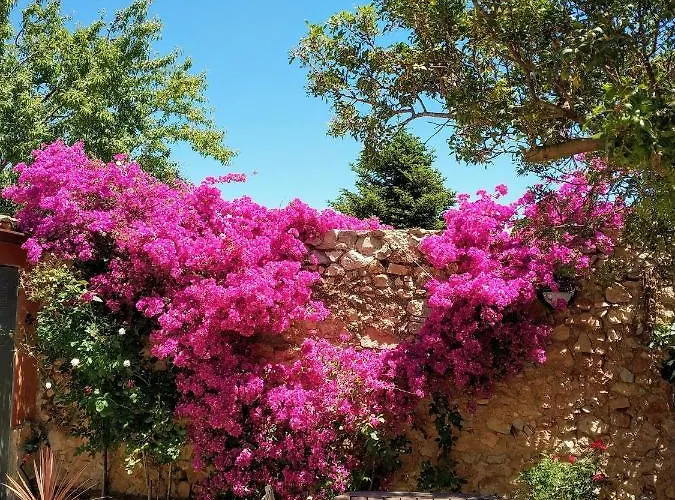 Casa La Coma 普拉特迪普